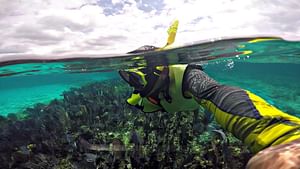 Cozumel Adventure Dos Playas From Riviera Maya