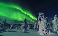 Aurora Borealis Trip in Lapland Lakeside 1
