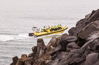 Whale  Watching from Downtown Reykjavik by RIB Speedboat  9