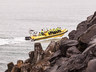 Puffin Tour by RIB Speedboat from Downtown Reykjavik, photo 9