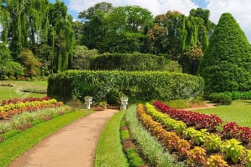 One Day Experience in Kandy (From Sigiriya)