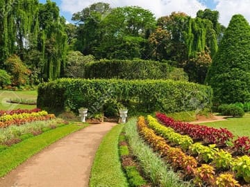 Kandy Day Trip from Sigiriya with Expert Guide