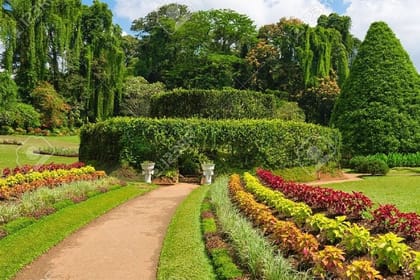 One Day Experience in Kandy (From Sigiriya)