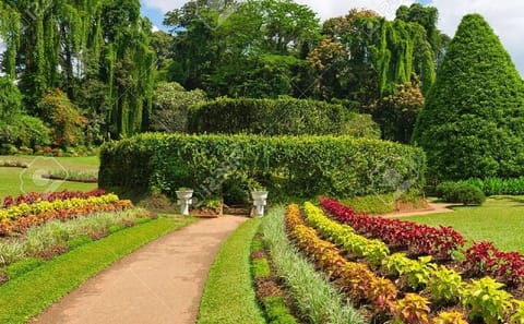 Kandy Day Trip from Sigiriya with Expert Guide