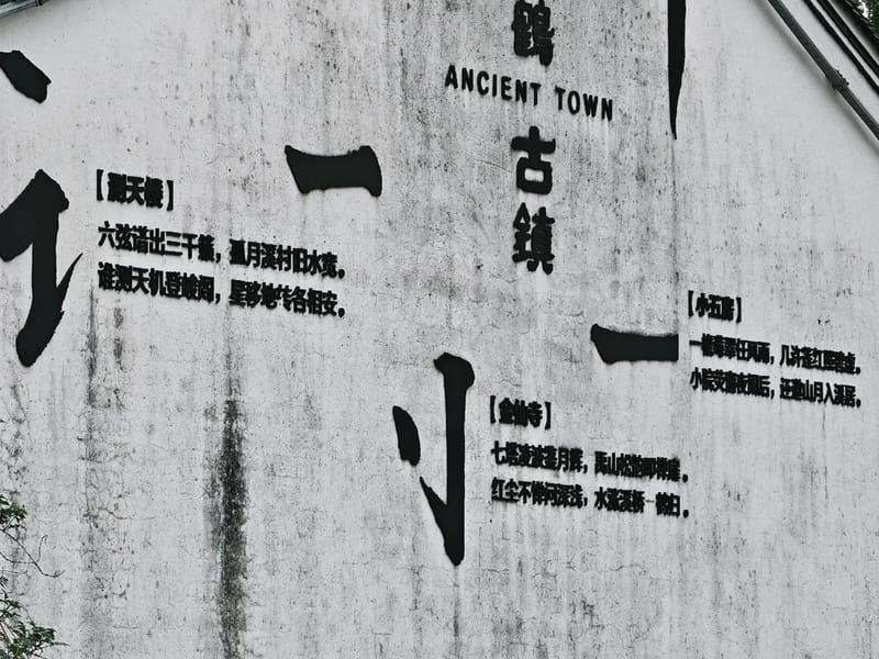 Hangzhou: Minghe Old Town & Cixi Bayberry Private Day Trip