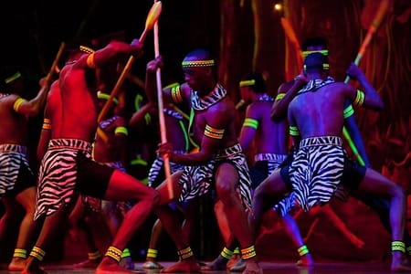 Safari Park Hotel Cat Dancers and Dinner Experience
