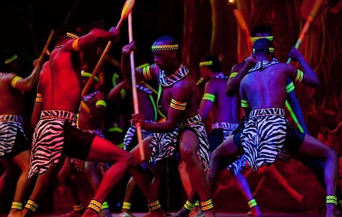 Safari Park Hotel Cat Dancers and Dinner Experience