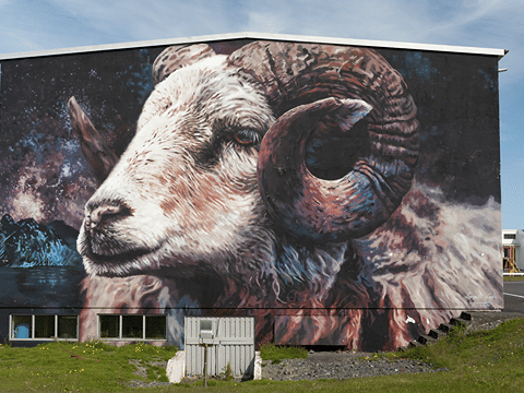 Private deutschsprachige Snæfellsnes Tagestour ab Reykjavík mit Luxus-Van, photo 16