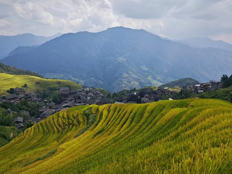 Longji Rice Terraces Hiking Tour Full Day Adventure