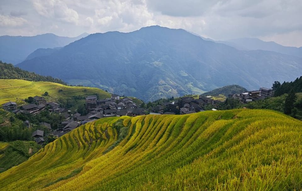 Full-Day Hiking Tour of Longji Rice Terraces in China