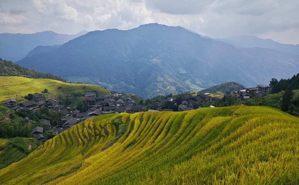 Full-Day Hiking Tour of Longji Rice Terraces in China