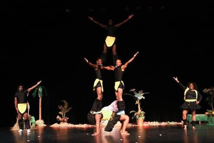 Safari Park Hotel Cat Dancers and Dinner Experience