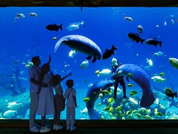 Family Day at Chimelong Spaceship Theme Park in Zhuhai