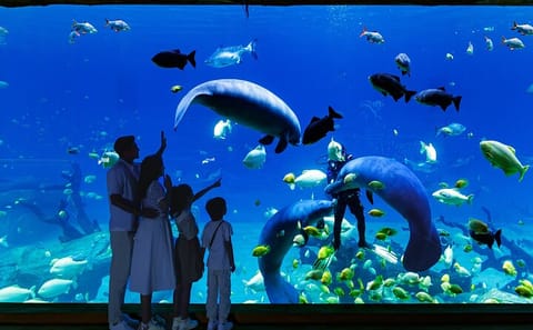 Family Day at Chimelong Spaceship Theme Park in Zhuhai