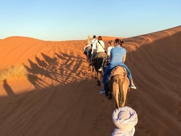 Camel ride in the dunes