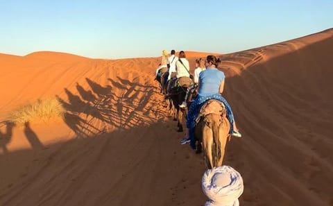 Sahara Desert 3 days trip from Marrakech to Fez