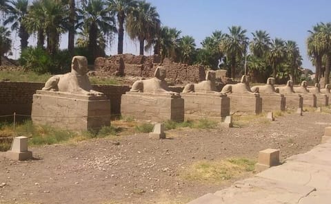 Private Day Tour of Luxor's Ancient Sites from Sharm El Sheikh