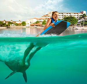 Dolphin Swim Adventure en Dreams Puerto Aventuras