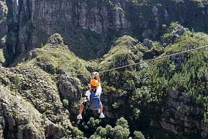 Penguins And Canopy Tour Cape Town