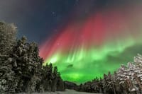 Tromsø. Aurora borealis in its glory!