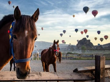 Cappadocia ( The Land of the Beautiful Horses)