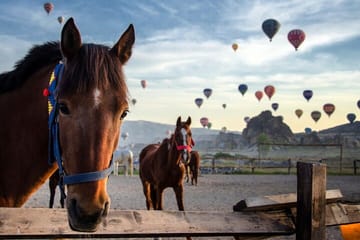 Private Two-Day Cappadocia Tour from Istanbul by Plane