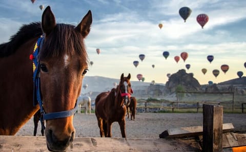 Private Two-Day Cappadocia Tour from Istanbul by Plane