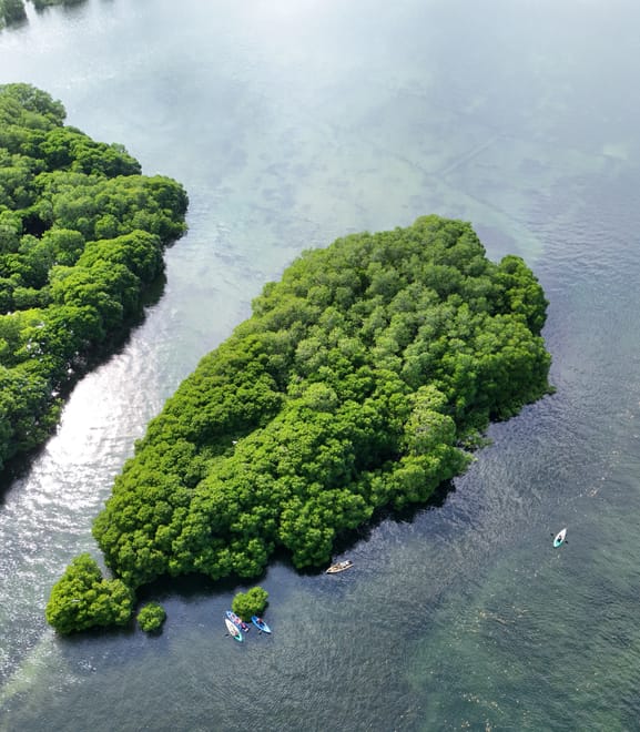 7 day island adventure and nature retreat