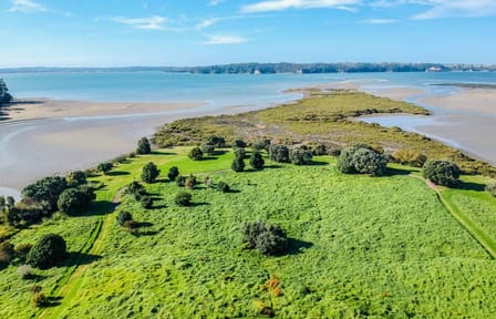 Auckland Volcanic Field Exploration and Scenic Views Tour