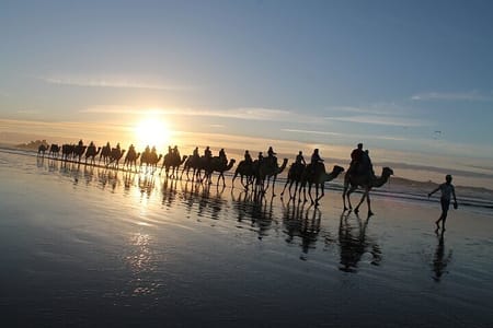 Essaouira P13: 2h quad + 2h camel free transfer