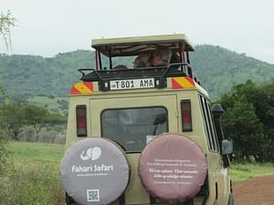 Tarangire, Serengeti & Ngorongoro: 4-Day Camping Safari