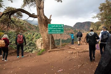 Ouzoud Waterfalls Full-Day Tour from Marrakech with Boat Ride