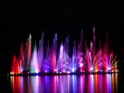Chiang Mai Day or Night Safari Park 5