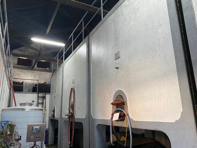 Taste of Tradition: Olive Oil, Wine & Fish 5
