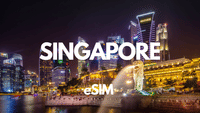 Singapore Data eSIM 0.5GB/Daily to 20GB - 30 Days 9
