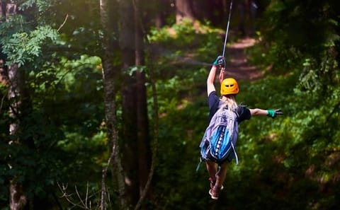 Extreme Zipline Adventure and City Tour in Coxen Hole