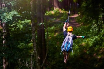 Extreme Zipline Adventure and City Tour in Coxen Hole