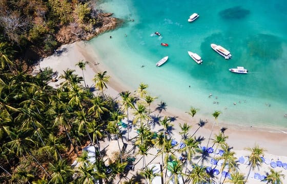 From Puntarenas: Turtle Island Day Tour