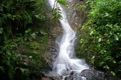 La Paz Waterfalls