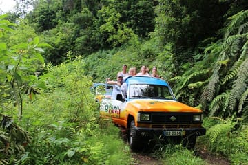 Full Day ATV and Minivan Tour in Porto Moniz