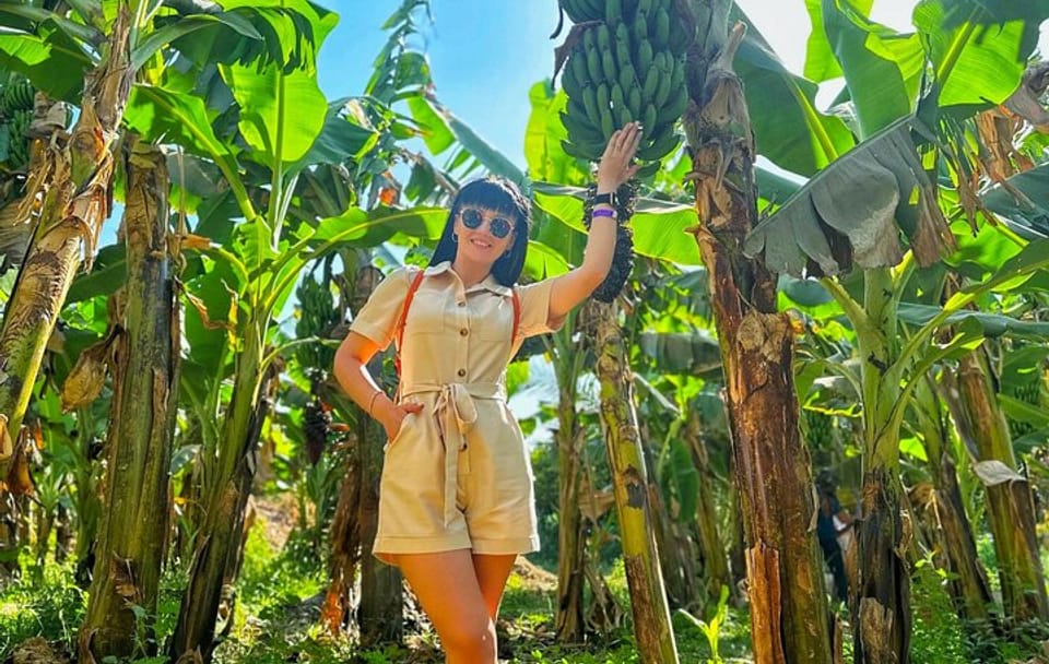 Private Felucca Trip to Banana Island & Private Transfer in Luxor