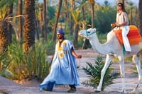 Camel Ride in the Marrakech Palm Grove 2