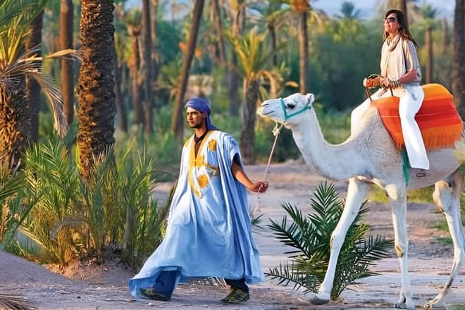 Camel Ride in the Marrakech Palm Grove 2