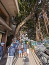 Antimafia Bike Tour 4