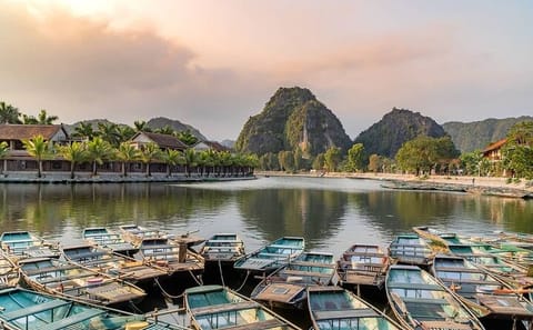 Luxury Day Tour of Ninh Binh: Hoa Lu, Tam Coc, Mua Cave
