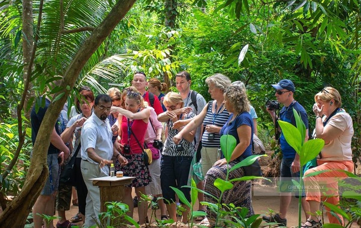 Spice Garden & Tea Factory Group Shore Excursion