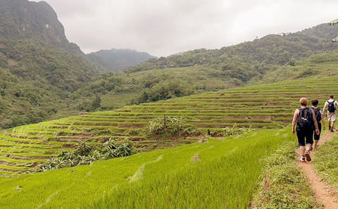 7-Day Northern Vietnam Adventure: Hiking & Culture Tour
