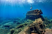 Cancun 5 in 1 Snorkeling Tour: MUSA, Shipwreck, Reefs & Cenotes 7