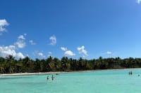 Saona Island and Chavon River Tour with Lunch and Drinks 7