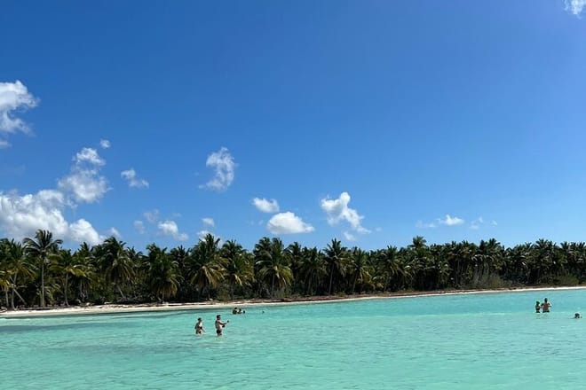 Saona Island and Chavon River Tour with Lunch and Drinks 7